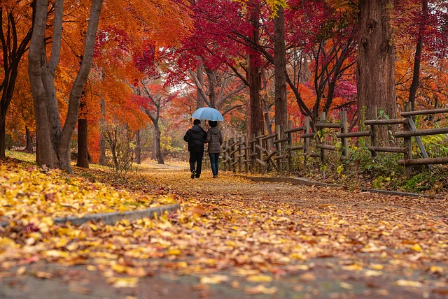 walking