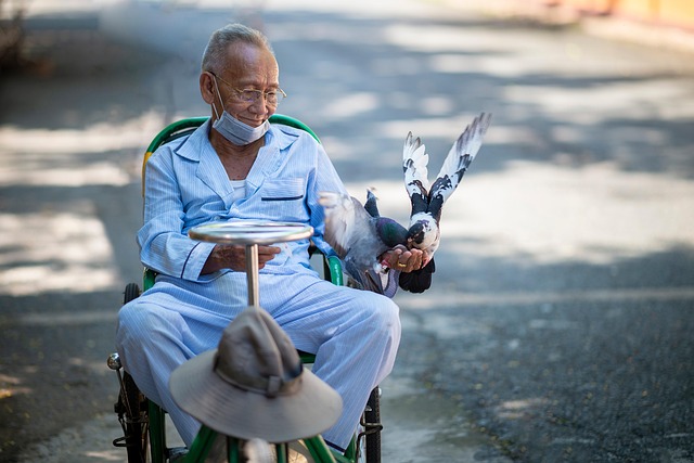 elderly